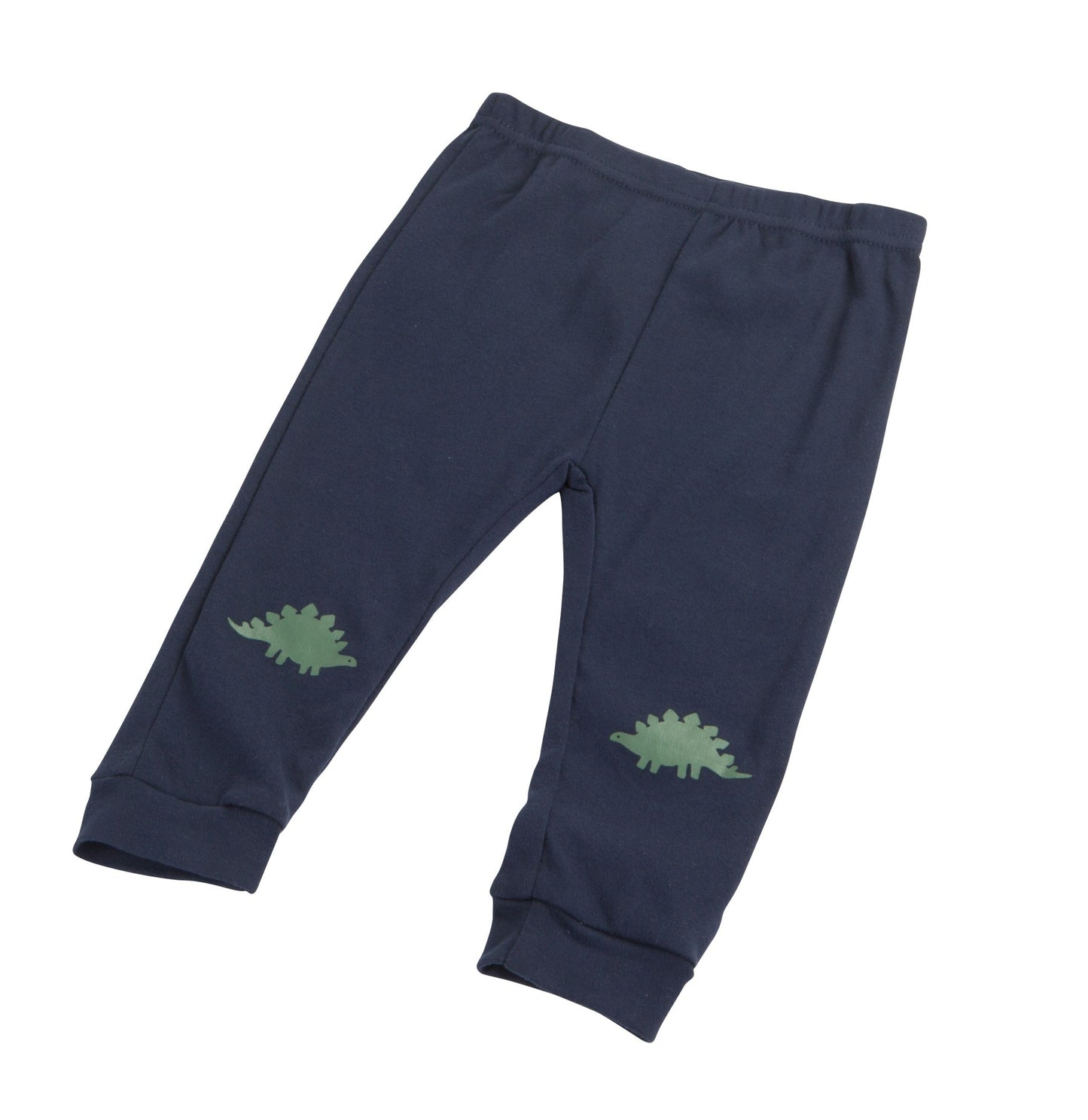 Dinosaur 4-piece Outfit