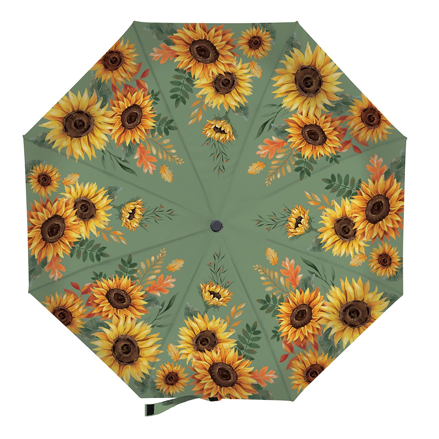 Umbrellas