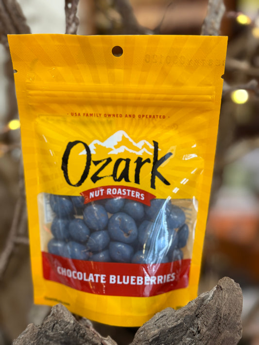 Ozark Nut Roasters Chocolate Blueberries 3.5 oz